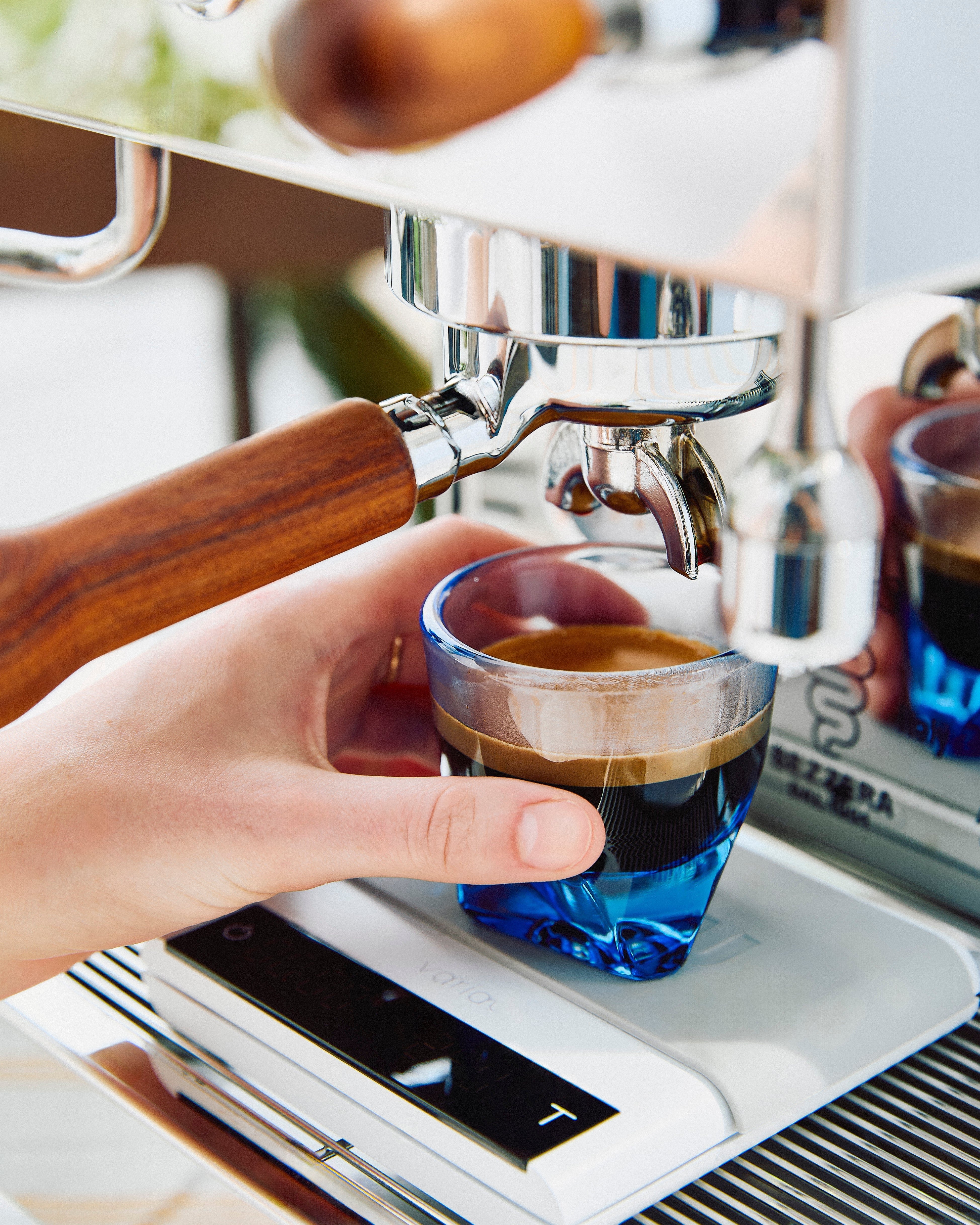 Bezzera BZ13 PM Espresso Machine - Special Edition – image 21 of 32
