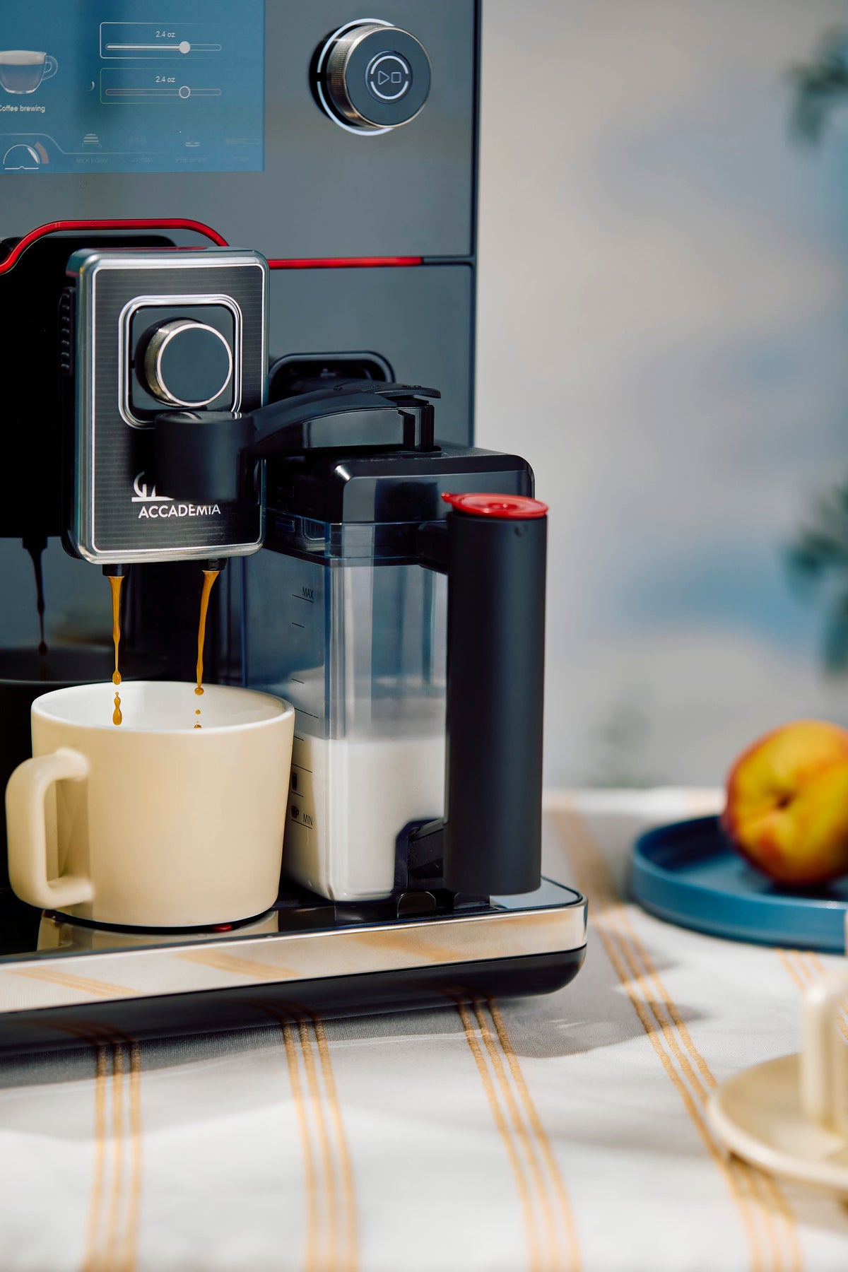 Gaggia Accademia – image 4 of 36