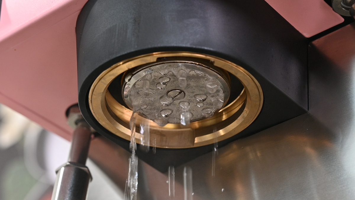 Rancilio Silvia Pro X Dual Boiler Espresso Machine – image 13 of 24