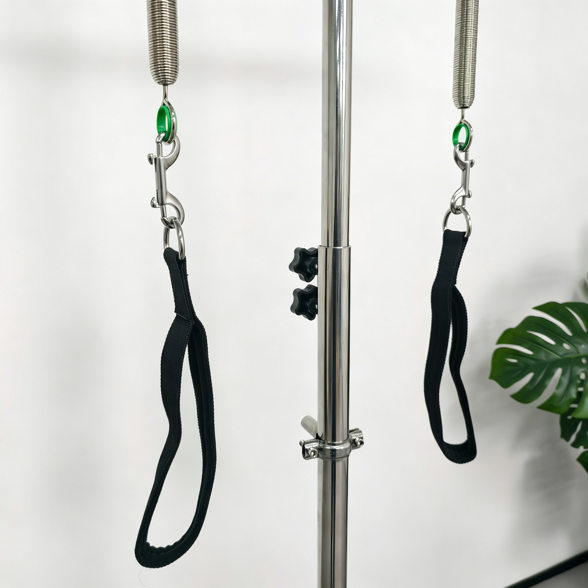 Reformora Pilates Pedi Pole – Posture & Balance Trainer