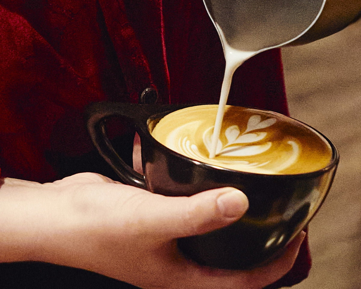 Stone Lite Espresso Machine – image 30 of 30