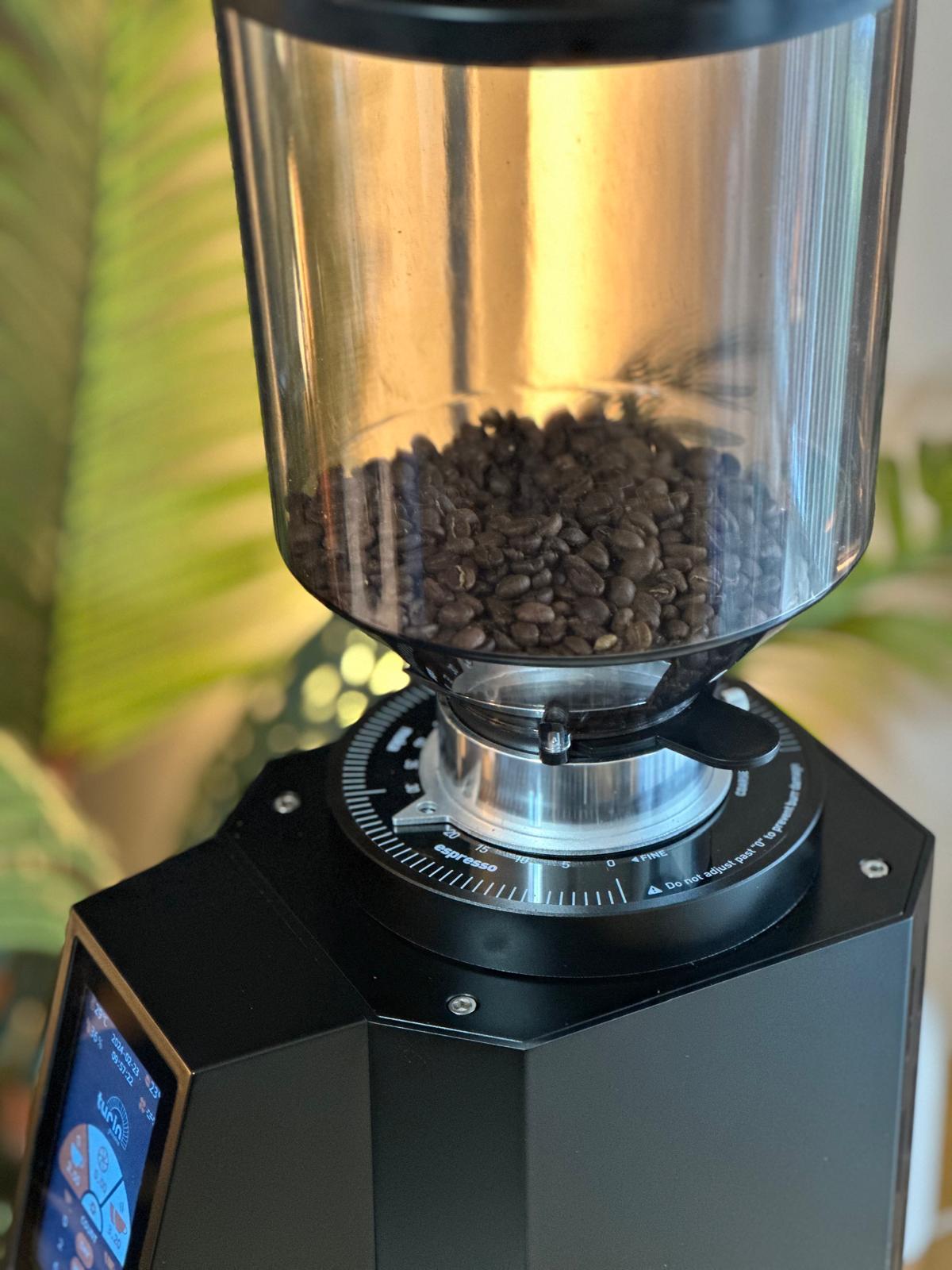 Turin ZF83 Commercial Espresso Grinder – image 24 of 48