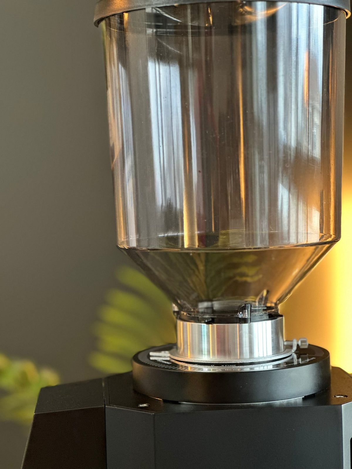 Turin ZF83 Commercial Espresso Grinder – image 28 of 48
