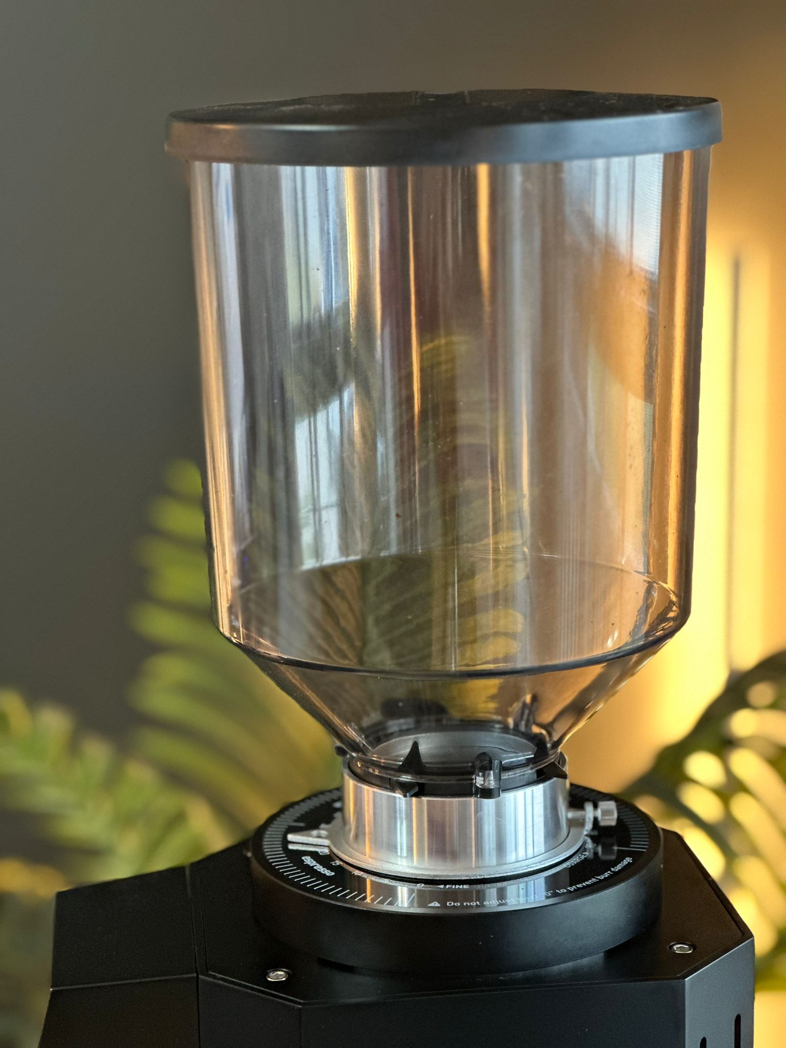 Turin ZF83 Commercial Espresso Grinder – image 31 of 48