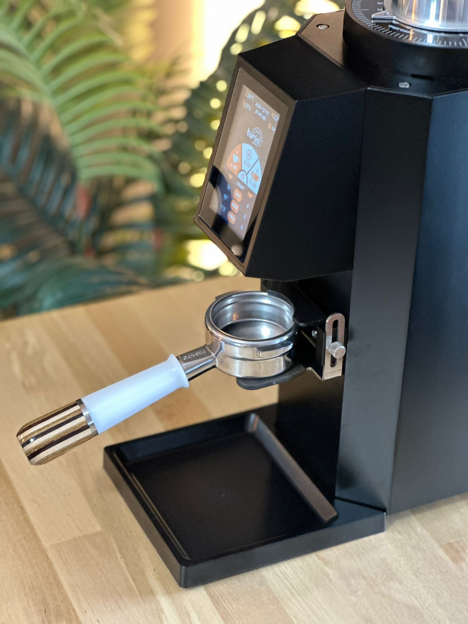 Turin ZF83 Commercial Espresso Grinder – image 41 of 48