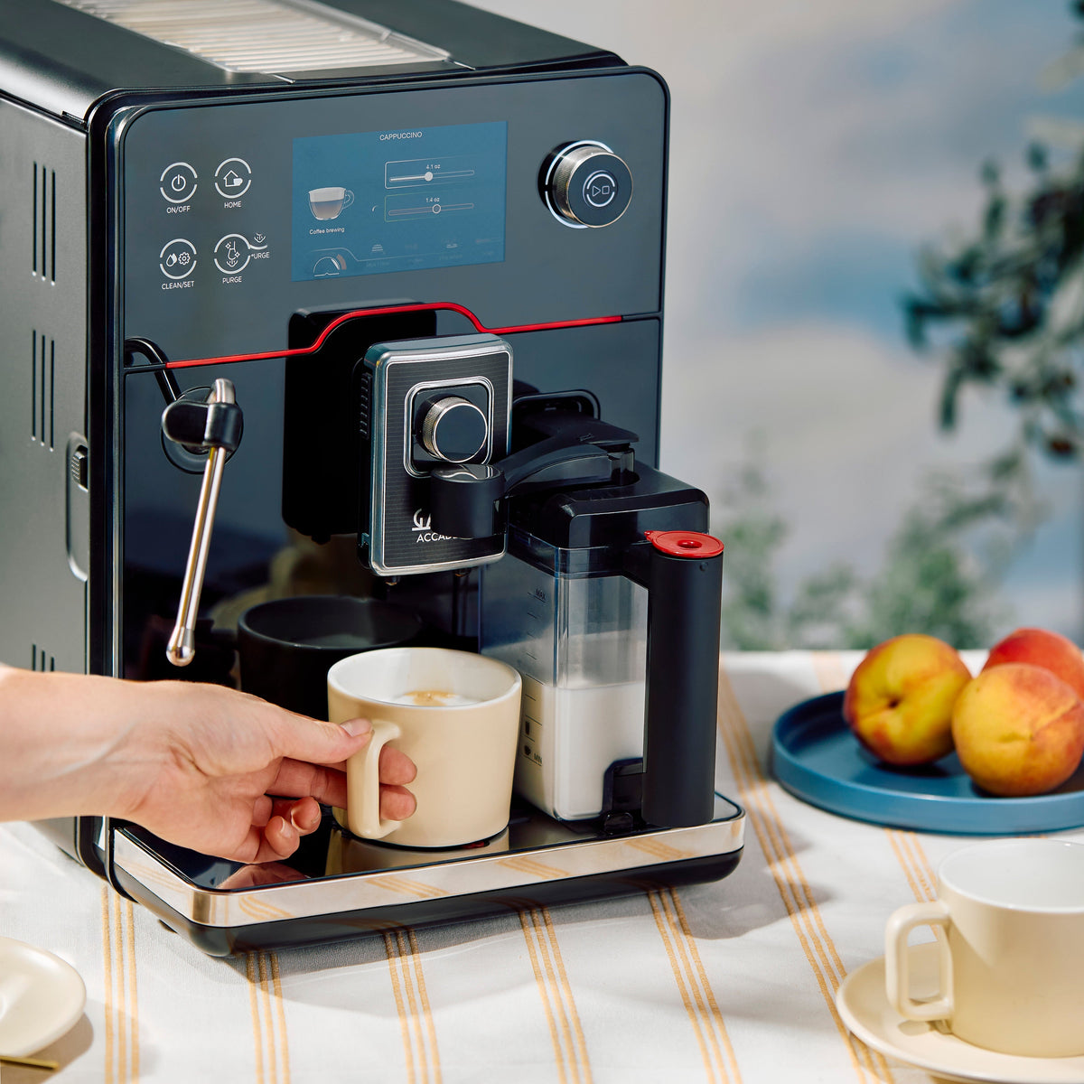 Gaggia Accademia – image 3 of 36