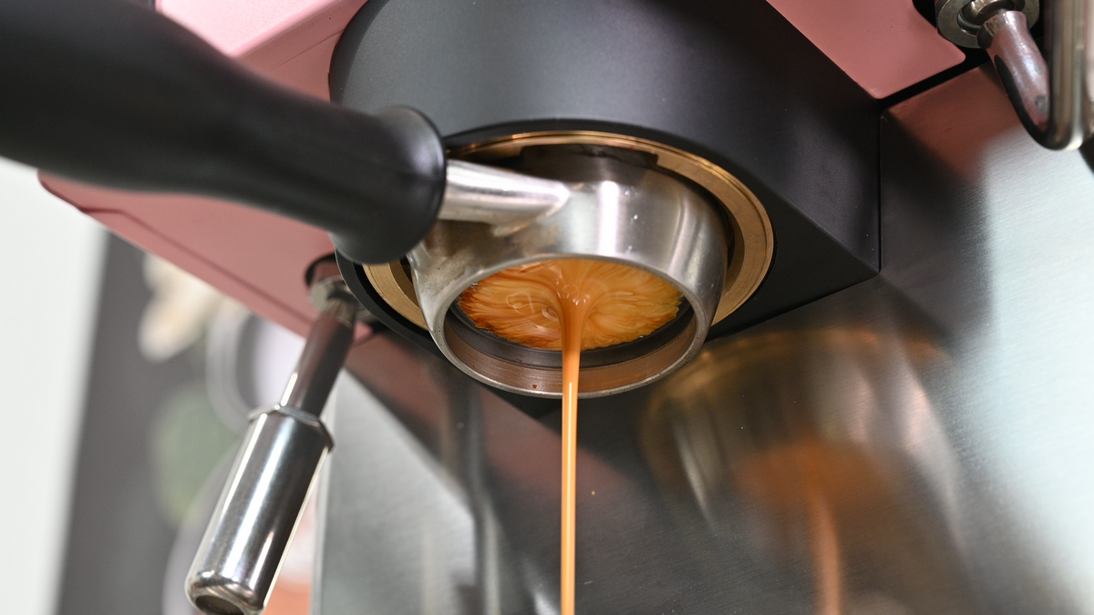 Refurbished Rancilio Silvia Pro X Dual Boiler Espresso Machine – image 14 of 19
