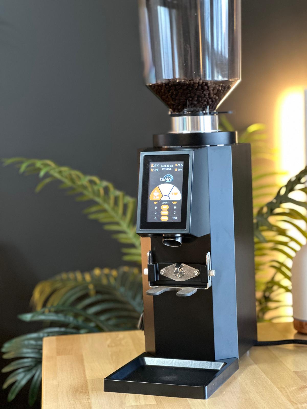 Turin ZF83 Commercial Espresso Grinder – image 23 of 48