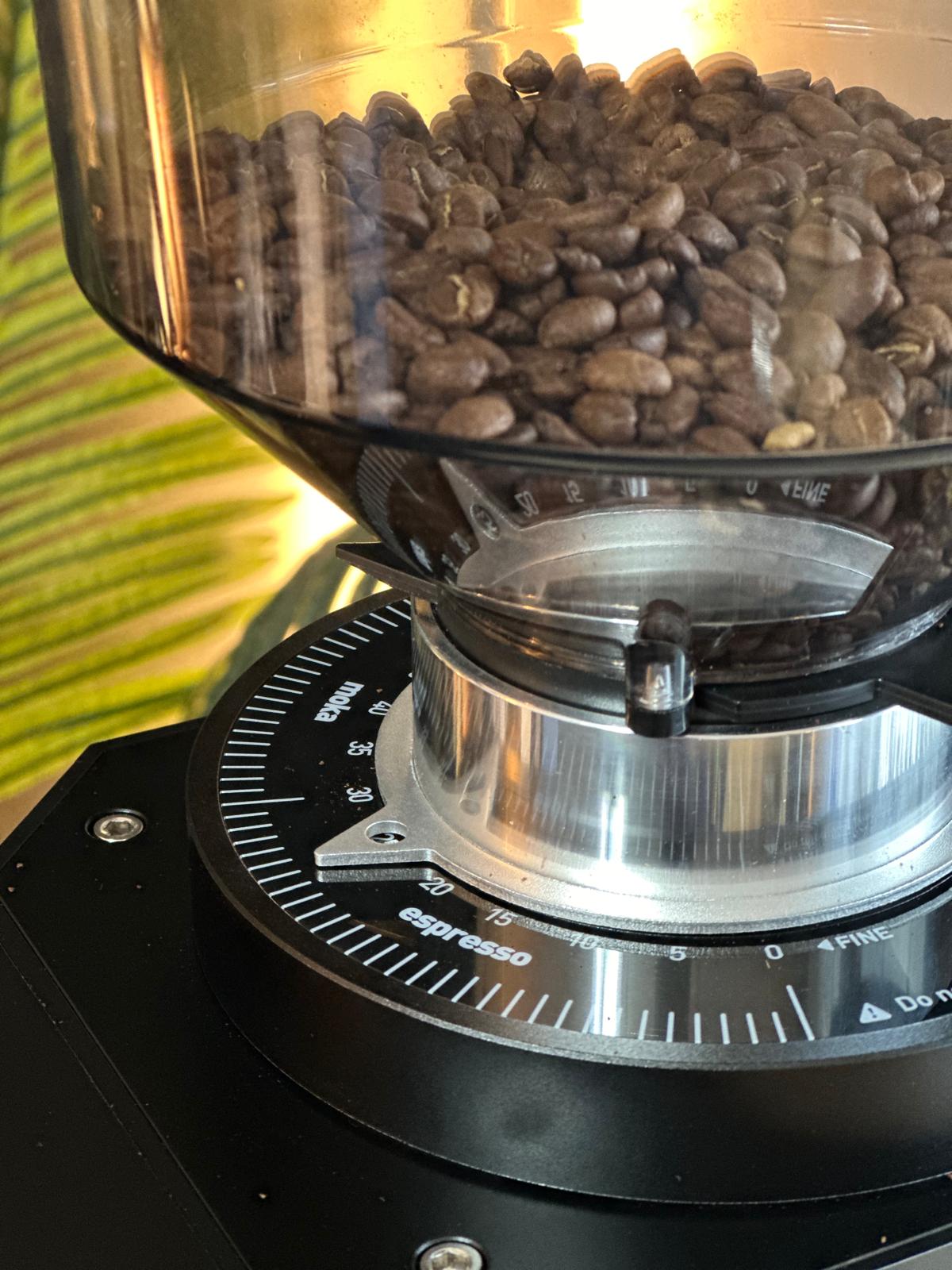 Turin ZF83 Commercial Espresso Grinder – image 25 of 48