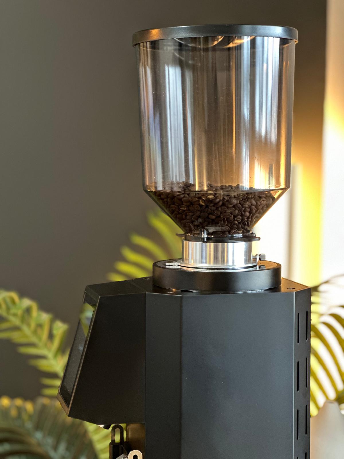 Turin ZF83 Commercial Espresso Grinder – image 16 of 48